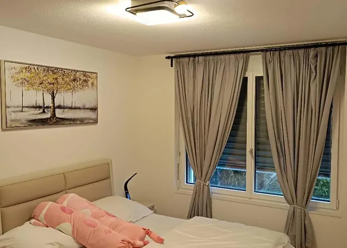 位于orbe两室一厅的漂亮公寓 *